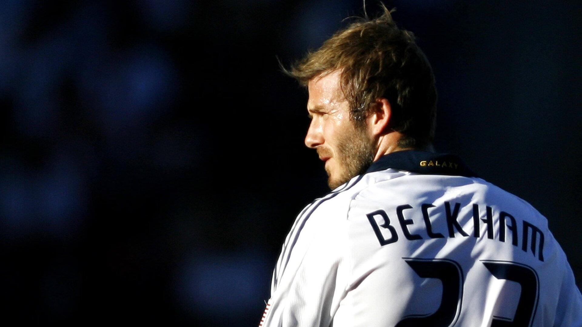 公牛队信心满满,期待季后赛突破,公牛队现状